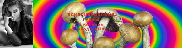 меф Белокуриха